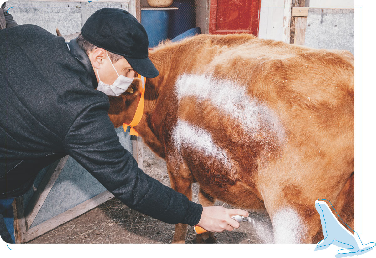 Порно мультфильм симпсондар